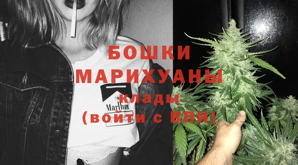 спиды Осташков