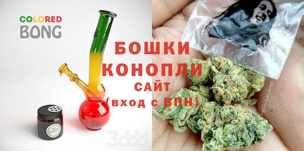 стаф Дмитровск
