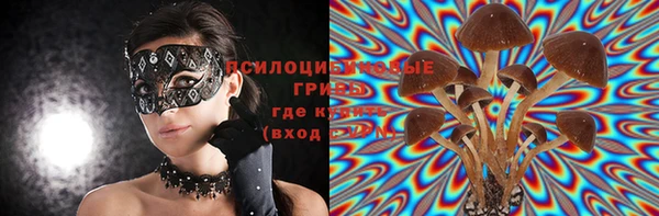 эйфоретик Осинники
