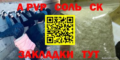 прущие крисы Кингисепп
