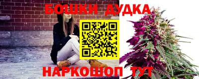 прущие крисы Кингисепп