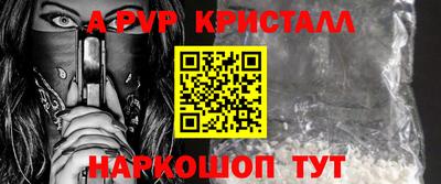прущие крисы Кингисепп