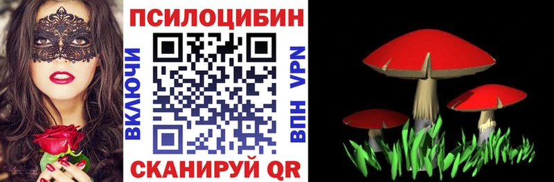 дарнет шоп  Саяногорск  Галлюциногенные грибы мицелий 