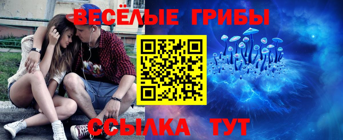 Псилоцибиновые грибы ЛСД Саяногорск