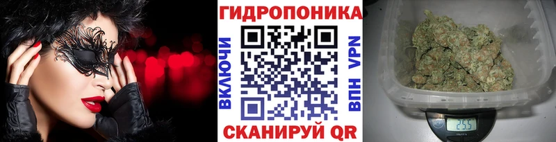 Конопля Amnesia  Саяногорск 